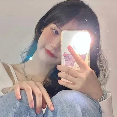 森林之北